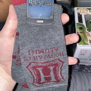Loot Crate Harry Potter Hogwarts Alumni Socks